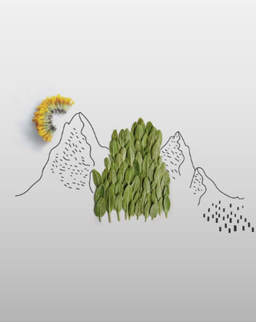 aboutus-blogteaserimage-aboutus-4